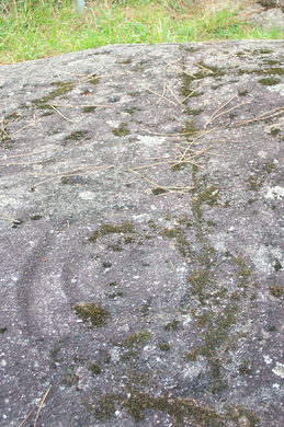 Petroglifo cruciforme de naturaleza moderna ('Pedra Moura')
- (Ver mapa).