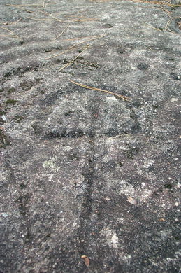 Detalle - 'Pedra Moura'
-  (Ver mapa). 