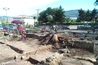 Se procede a la tala de un eucalipto para continuar con las excavaciones.
-  (Ver mapa). 