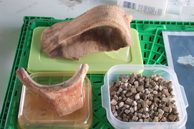Diferentes piezas encontradas en las excavaciones del 2002
- (Map location).