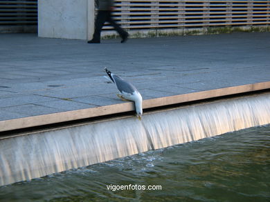 Project Open Vigo to the sea (Guillermo Vázquez Consuegra) (Premio "Architecti" europeo al mejor diseño urbano de 1995).
