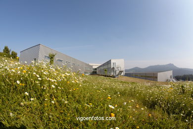 Arquitectos: Cesar Portela - Universidad de Vigo (1999/2003) - Ciencias Jurídicas y Trabajo.