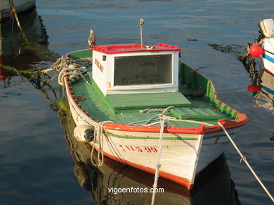 Barcas de remo. Veleros y barcas de remo.