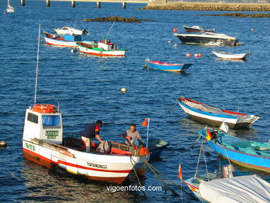 Barcas de remo. Veleros y barcas de remo.