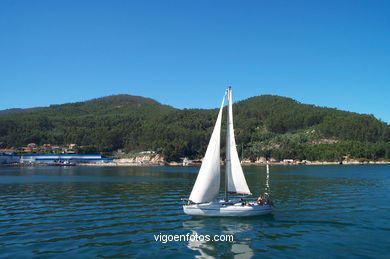 Sailboats - Sailing ships.