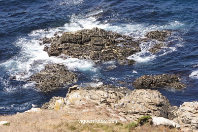Acantilados de las Islas Cíes (Vigo).