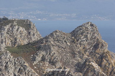 Acantilados de las Islas C�es (Vigo). 