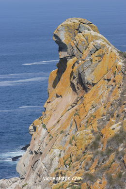 Acantilados de las Islas C�es (Vigo). 