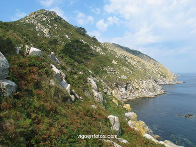 Acantilados de las Islas Cíes (Vigo).
