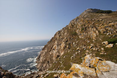 Acantilados de las Islas C�es (Vigo). 