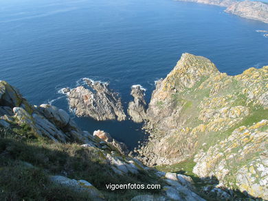 Acantilados de las Islas C�es (Vigo). 
