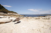 Playa Cantareira. Playas de las Islas C�es. 