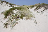 Sistema de dunas. Paisajes de las islas. 