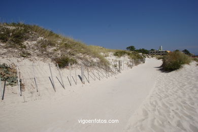 Sistema nautal de dunas de las Islas C�es (Vigo). 