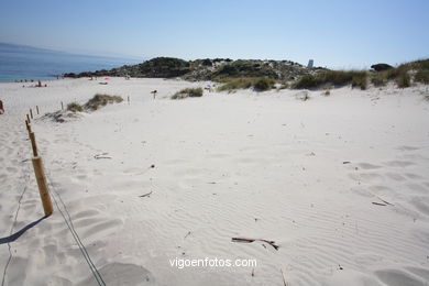 Playa Figueras o de los Alemanes - Islas Cíes - Vigo.