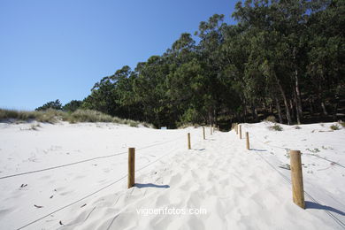 Playa Figueras o de los Alemanes - Islas Cíes - Vigo.