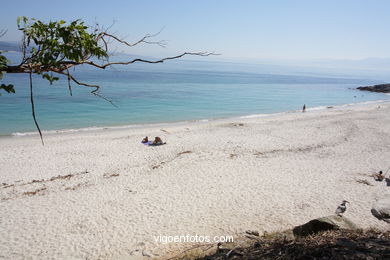 Playa Figueiras (Alemanes)
(Playas de las Islas C�es)
. 