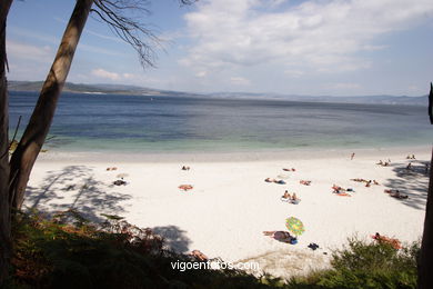 Playa Figueras o de los Alemanes - Islas Cíes - Vigo.