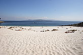 Playa Figueiras (Alemanes). Playas de las Islas Cíes.