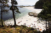 Playa Figueiras (Alemanes). Playas de las Islas Cíes.