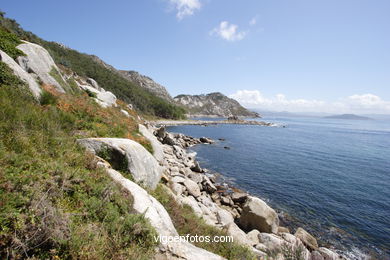 Isla Sur o de San Martiño - Islas Cíes (Vigo).
