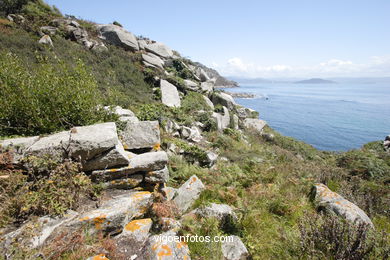 Isla Sur o de San Martiño - Islas Cíes (Vigo).