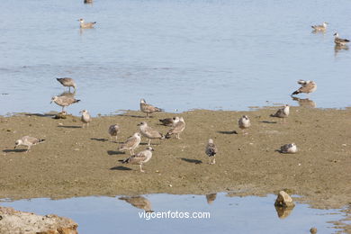 El 'Lago de los niños' - Islas Cíes.
