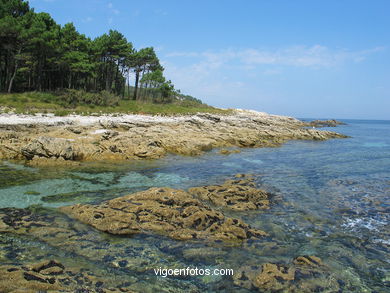 The rocky coast
(Landscapes of the islands)
. 