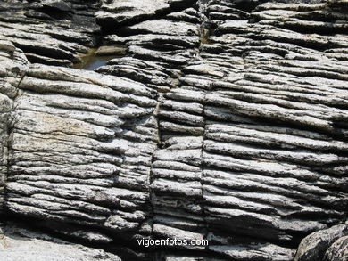 The rocky coast. 