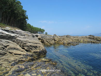Litoral rocoso de las Islas Cíes (Vigo).