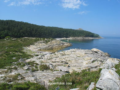 Litoral rocoso de las Islas Cíes (Vigo).