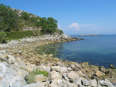 Litoral rocoso de las Islas Cíes (Vigo).