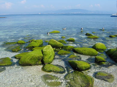 The rocky coast. 