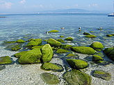 Litoral rocoso. Paisajes de las islas C�es. 