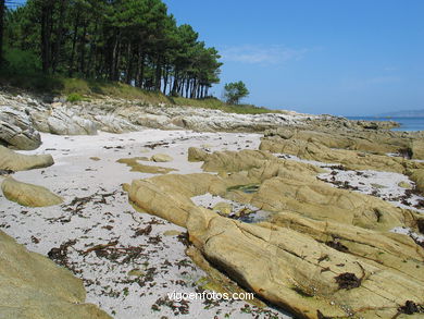 Margaridas beach
(Beaches of cies the islands )
. 