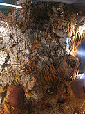 Museo del monasterio. Historia de las islas. 