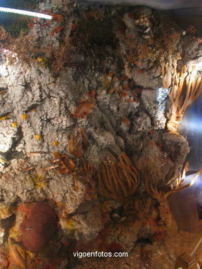 Monasterio de las Islas C�es. 