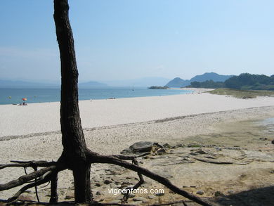 Playa de Rodas
(Playas de las Islas C�es)
. 