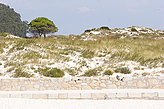 Playa de Rodas. Playas de las Islas C�es. 