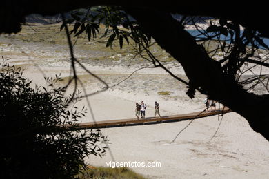 Landscapes of Cies
(Landscapes of the islands)
. 