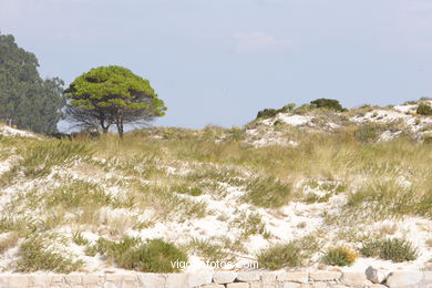 Landscapes of Cies
(Landscapes of the islands)
. 