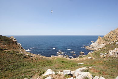 Vistas de las Islas C�es (Vigo). 