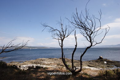 Landscapes of Cies
(Landscapes of the islands)
. 