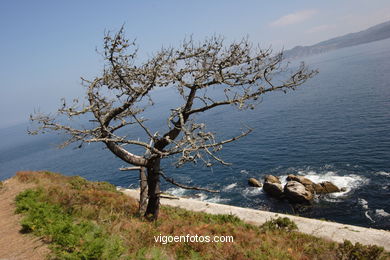 Vistas de las Islas C�es (Vigo). 