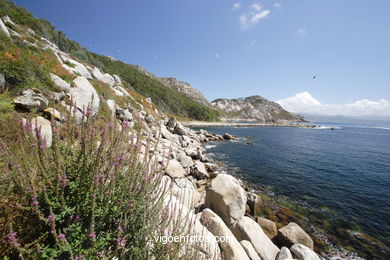 Vistas de las Cíes
(Paisajes de las islas)
.