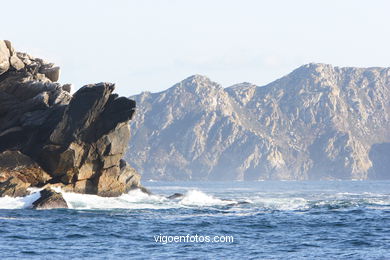 Vistas de las Cíes
(Paisajes de las islas)
.