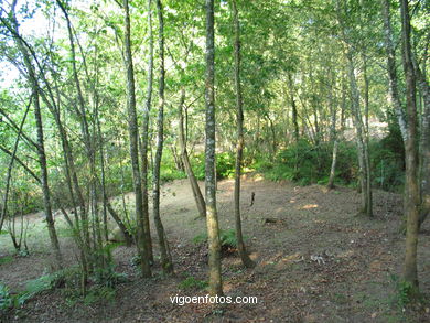 Molinos de agua de Gontade. 