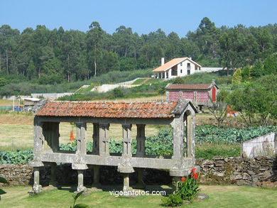 H�rreo en Zam�ns. 