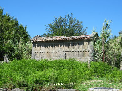 H�rreo en San Andr�s de Comesa�a. 