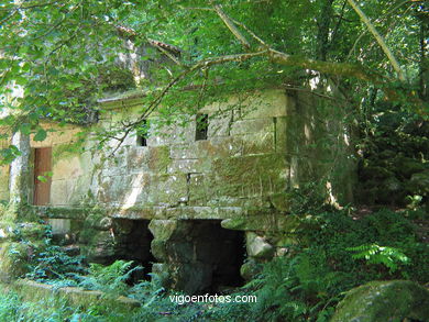 Molinos de Zamáns.
